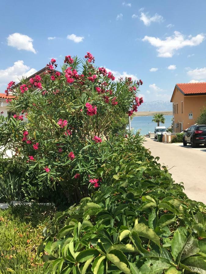 Apartmani Darija Vir Bagian luar foto